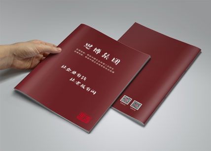 思博企業(yè)管理宣傳冊(cè)策劃制作